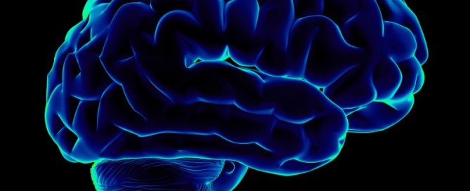 Hormone Balancing the Brain